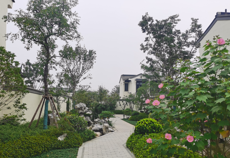 �����1 (2).jpg