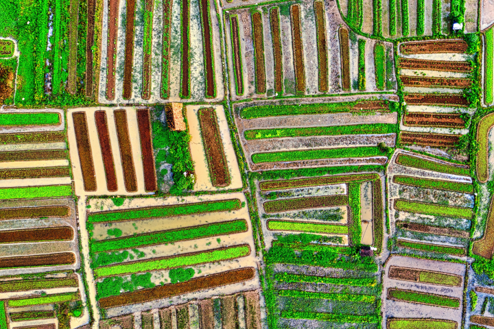 1722320209797728.jpg 农田2 (2).jpg